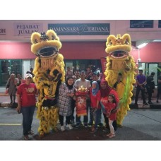 Lion Dance perfomence